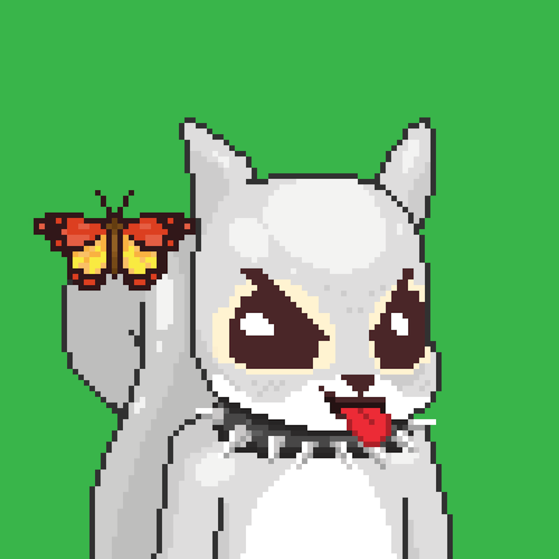 Pixel Squirrels #927